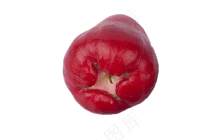 红色大莲雾热带水果