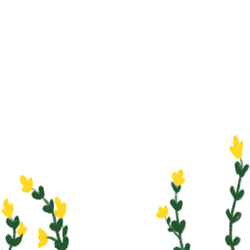 手绘绿叶黄花边框装饰免扣元素(500X500(DPI:300))psd模版下载