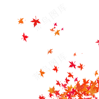 红色枫叶,免抠元素