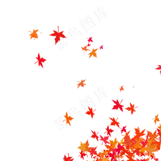 红色枫叶,免抠元素