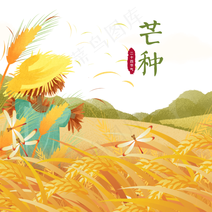 手绘芒种稻草人农田