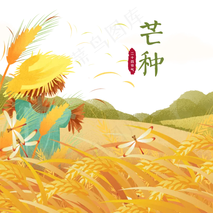 手绘芒种稻草人农田(2000X2000(DPI:300))psd模版下载