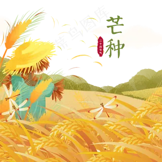 手绘芒种稻草人农田