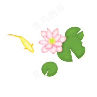 荷花荷叶锦鲤卡通