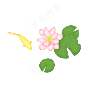 荷花荷叶锦鲤卡通