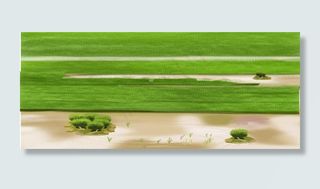 绿色稻田乡村农忙之插秧