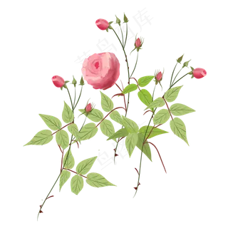 手绘卡通植物花草