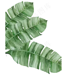 绿色植物树叶元素,免抠元素