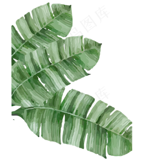 绿色植物树叶元素,免抠元素
