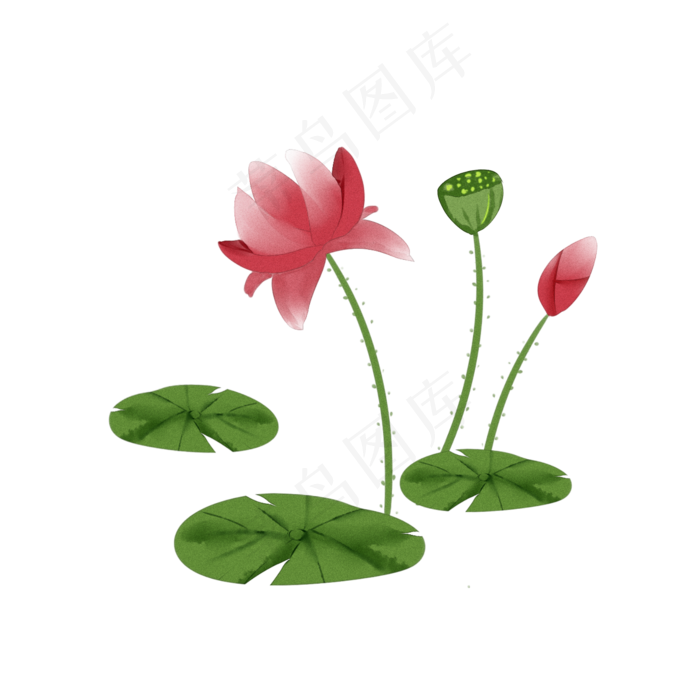 水彩中国风荷花透明底免抠