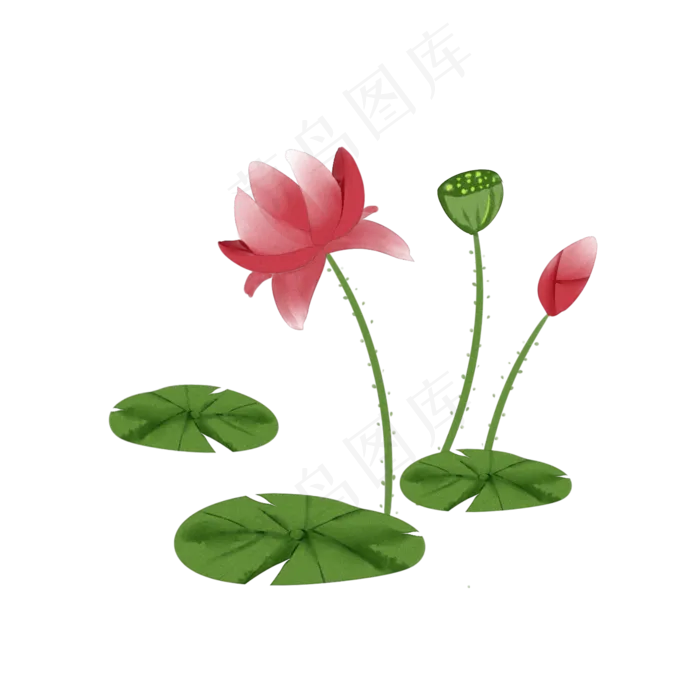 水彩中国风荷花透明底免抠(2000X2000(DPI:299))psd模版下载