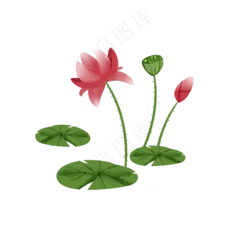 水彩中国风荷花透明底免抠