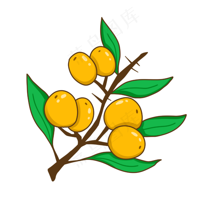 硕果沙棘水果(3000X3000(DPI:299))psd模版下载