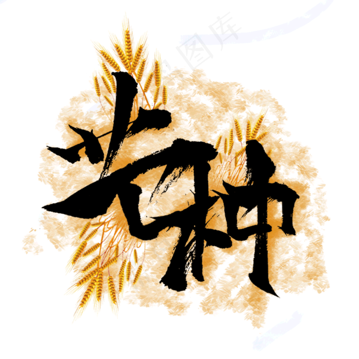 芒种节气毛笔字体设计