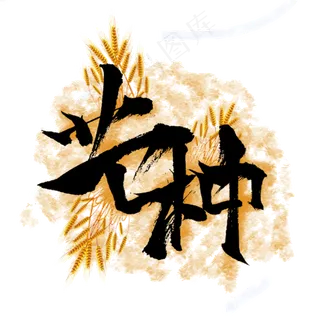 芒种节气毛笔字体设计