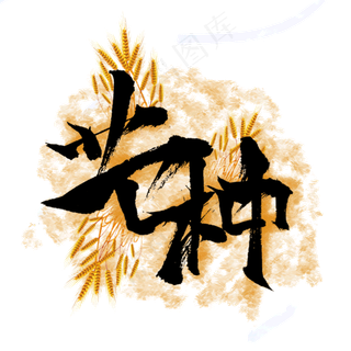 芒种节气毛笔字体设计