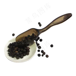 香樟子中药药材,免抠元素