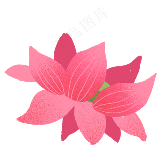 玫红色卡通手绘荷花