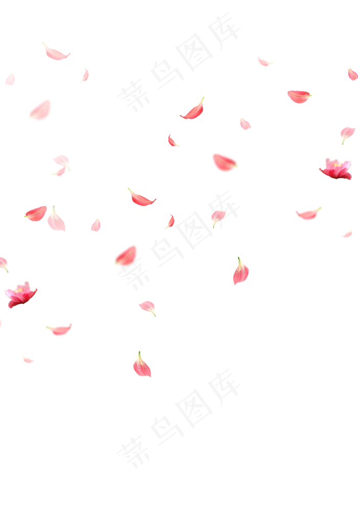 花瓣漂浮元素,免抠元素(1800*2546px 72 dpi )