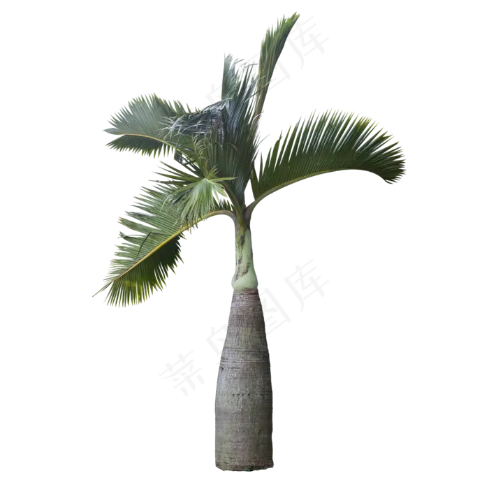 可爱椰子树,免抠元素(4416X3408(DPI:240))psd模版下载