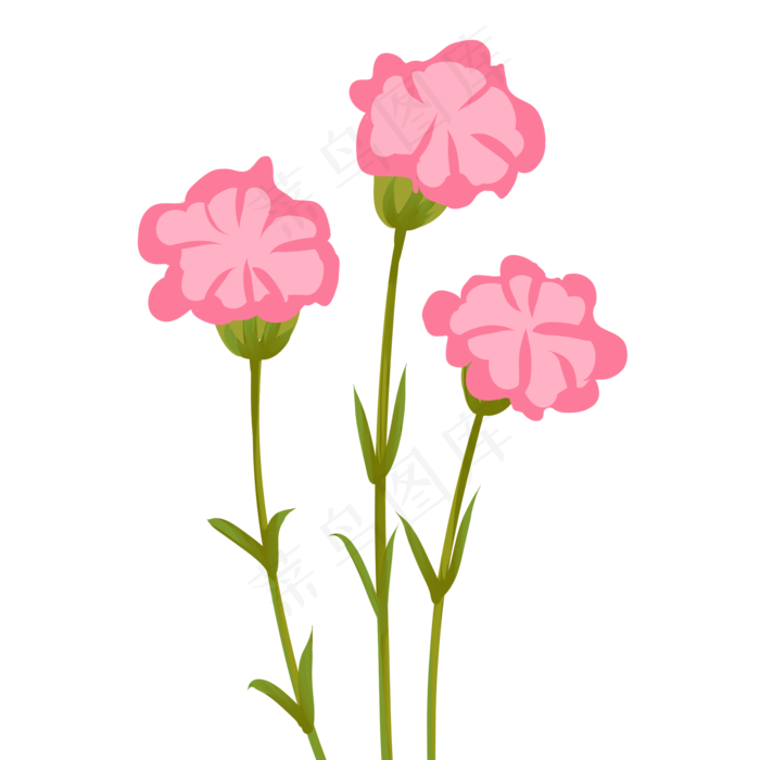 康乃馨花枝(2000X2000(DPI:300))psd模版下载