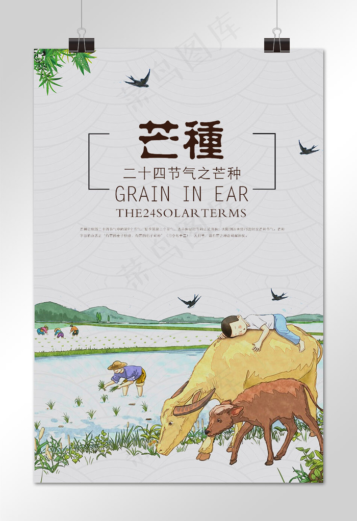 简约大气二十四节气芒种