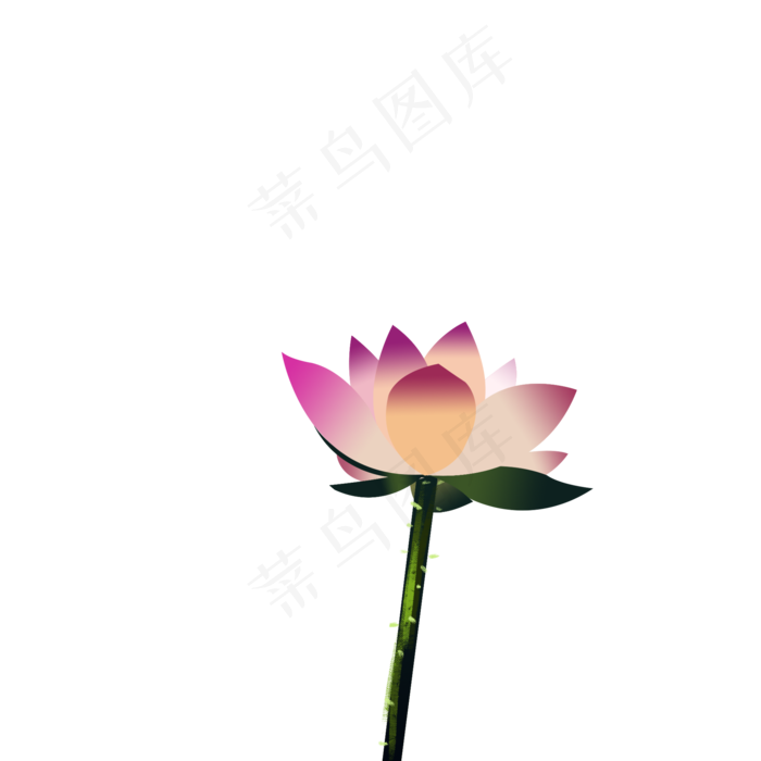 卡通粉色的荷花免扣图(2000X2000(DPI:300))psd模版下载