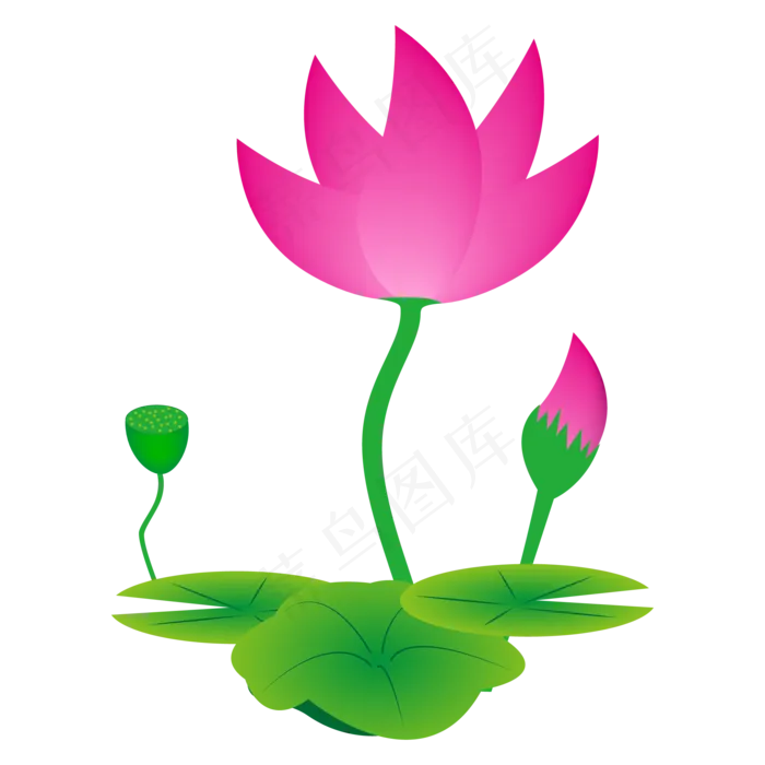 矢量鼠绘莲藕荷花图(2000*2000px 300 dpi )ai矢量模版下载