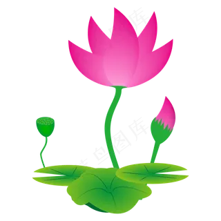 矢量鼠绘莲藕荷花图