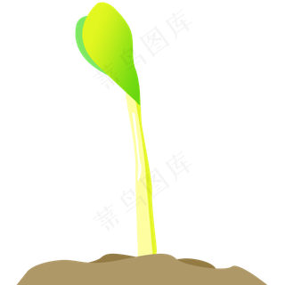 黄绿色豆苗免抠图