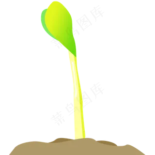 黄绿色豆苗免抠图