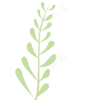 嫩绿色的绿色春季植物