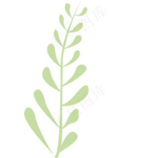 嫩绿色的绿色春季植物