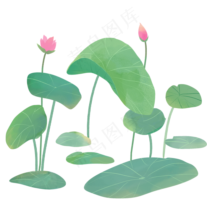 夏日小清新荷花荷叶