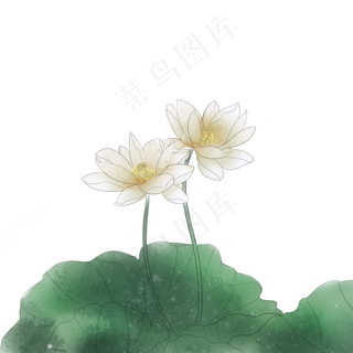 中国风淡色白色荷花墨色荷叶