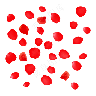 红色玫瑰花瓣漂浮
