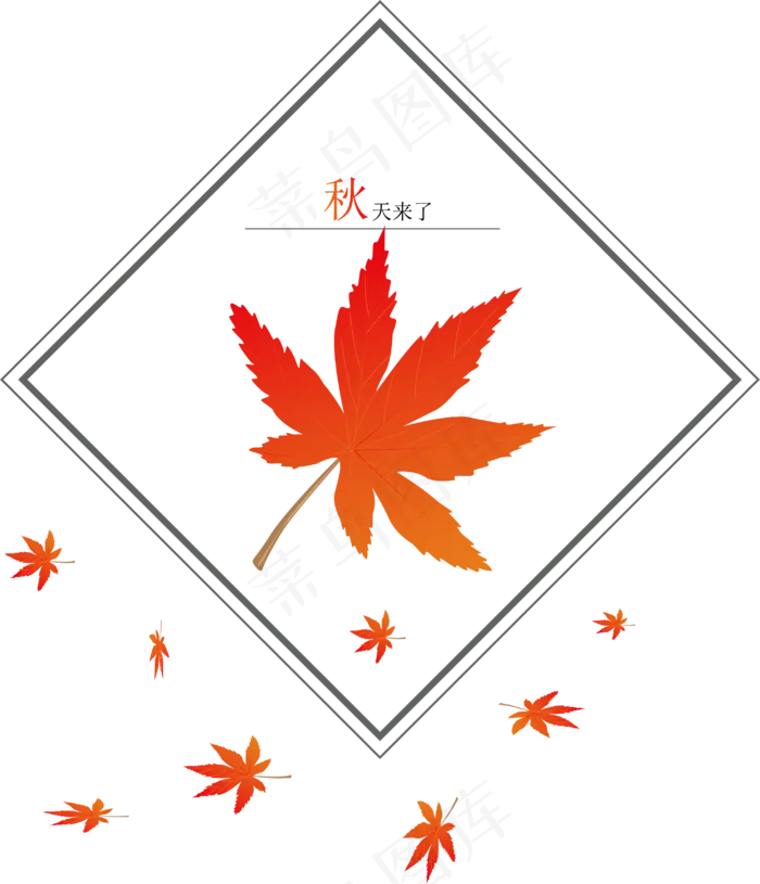 枫叶PNG(3000X3000(DPI:300))ai矢量模版下载