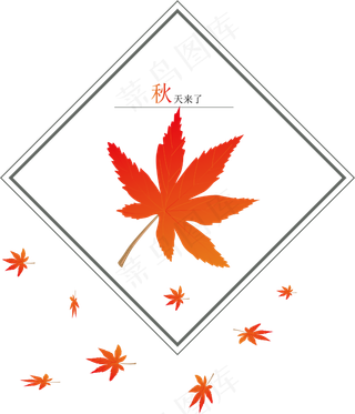 枫叶PNG