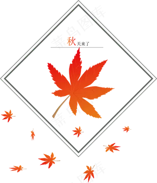 枫叶PNG