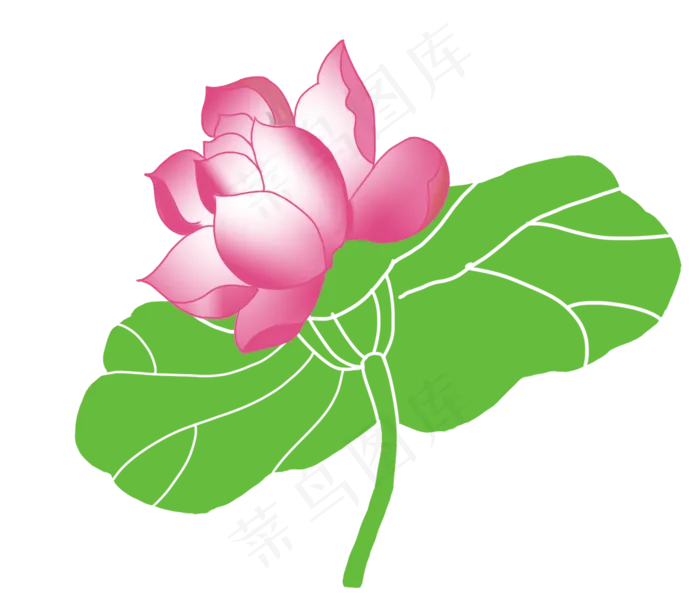 漂亮的红色荷花插图(2333X2000(DPI:300))psd模版下载