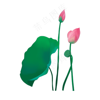 手绘盛开的荷花矢量免抠图免费下