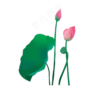 手绘盛开的荷花矢量免抠图免费下