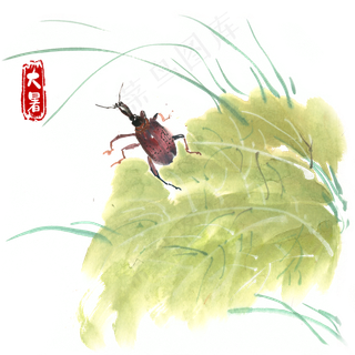 大暑绿叶与昆虫