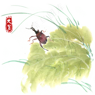 大暑绿叶与昆虫