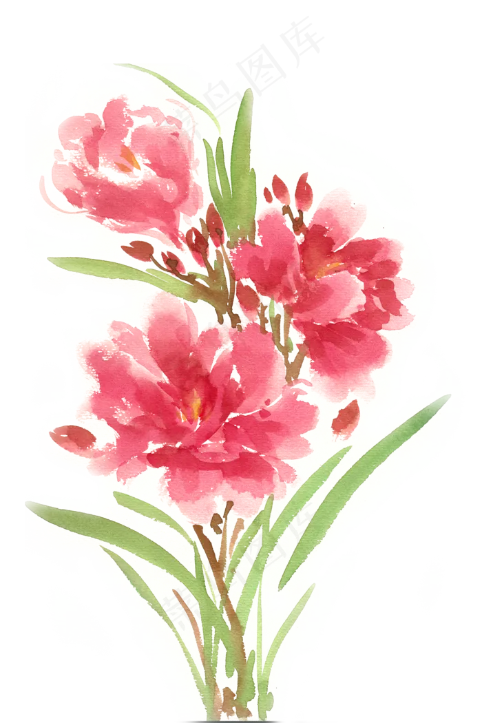 水彩花卉红色的花束(4724X7087(DPI:300))psd模版下载