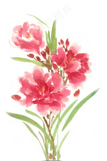 水彩花卉红色的花束