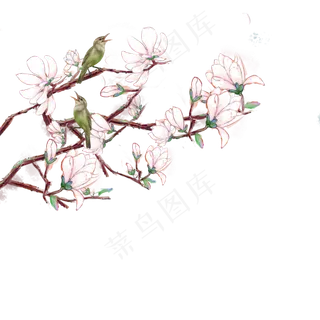 古风玉兰花朵鸟,免抠元素