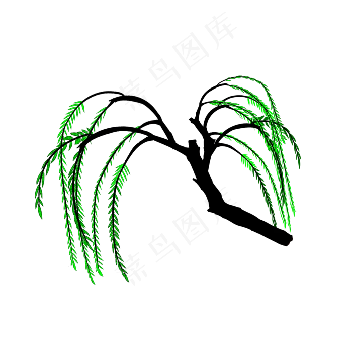 手绘柳树装饰图案PNG(2000X2000(DPI:300))psd模版下载