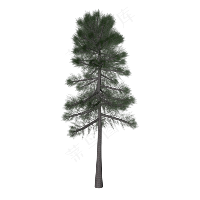 松树树塔