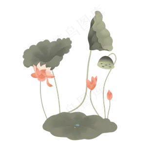 中式朴素夏天二十四节气荷花荷叶